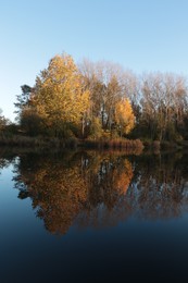 Photo of Picturesque view of lake and trees on autumn day