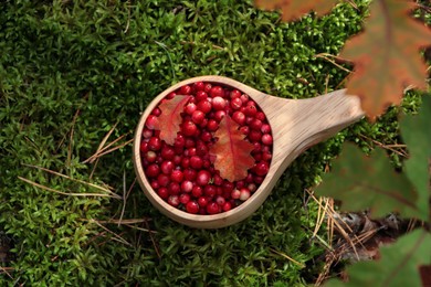 Photo of Many tasty ripe lingonberries and autumn leaves in wooden cup outdoors, top view