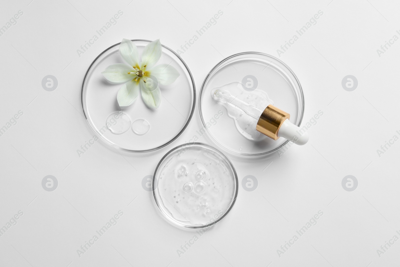 Photo of Petri dishes with samples of cosmetic oil, pipette and beautiful flower on white background, flat lay