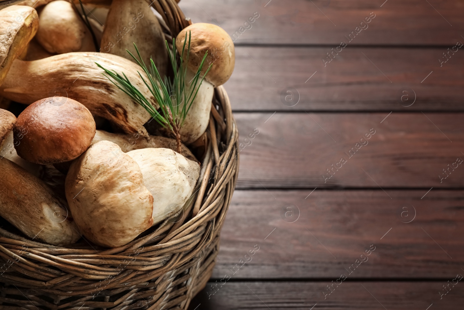 Photo of Fresh wild mushrooms in wicker basket on wooden table, closeup. Space for text