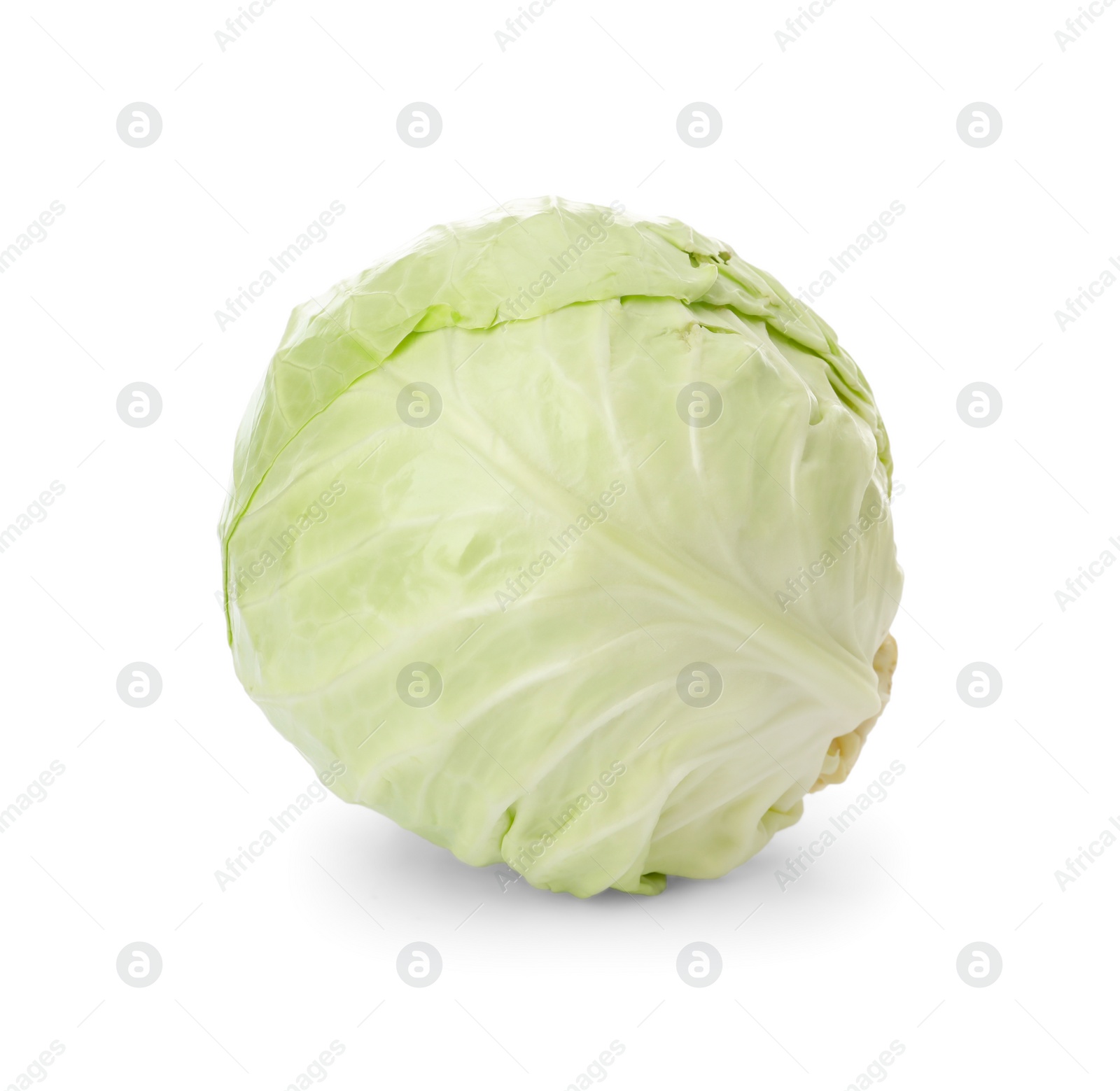 Photo of Whole fresh ripe cabbage isolated on white