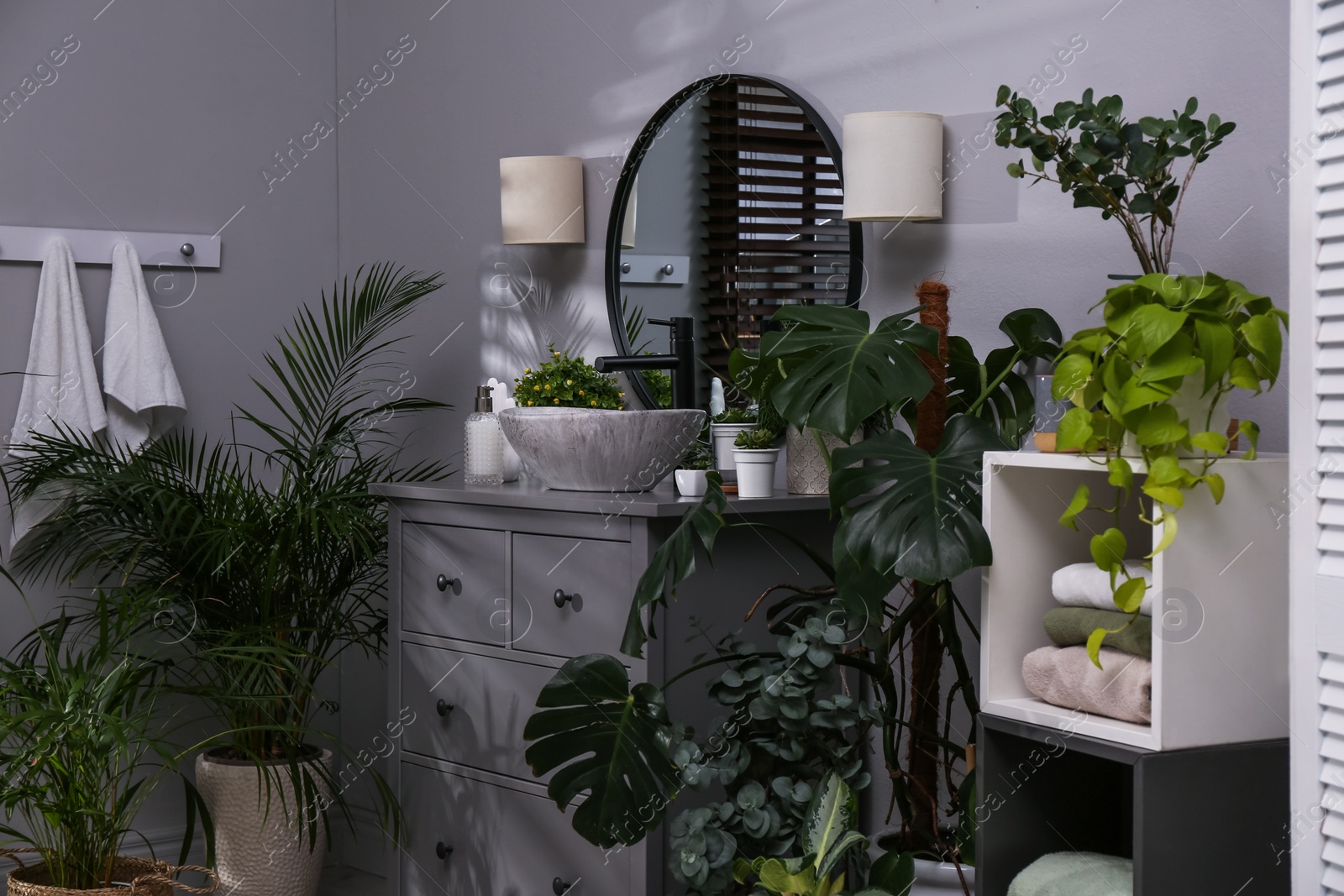 Photo of Stylish bathroom interior with modern furniture and beautiful green houseplants