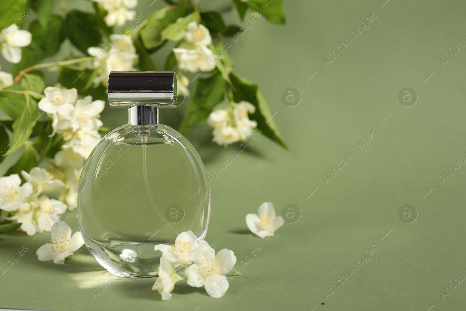 Photo of Aromatic perfume in bottle among beautiful jasmine flowers on pale green background, space for text