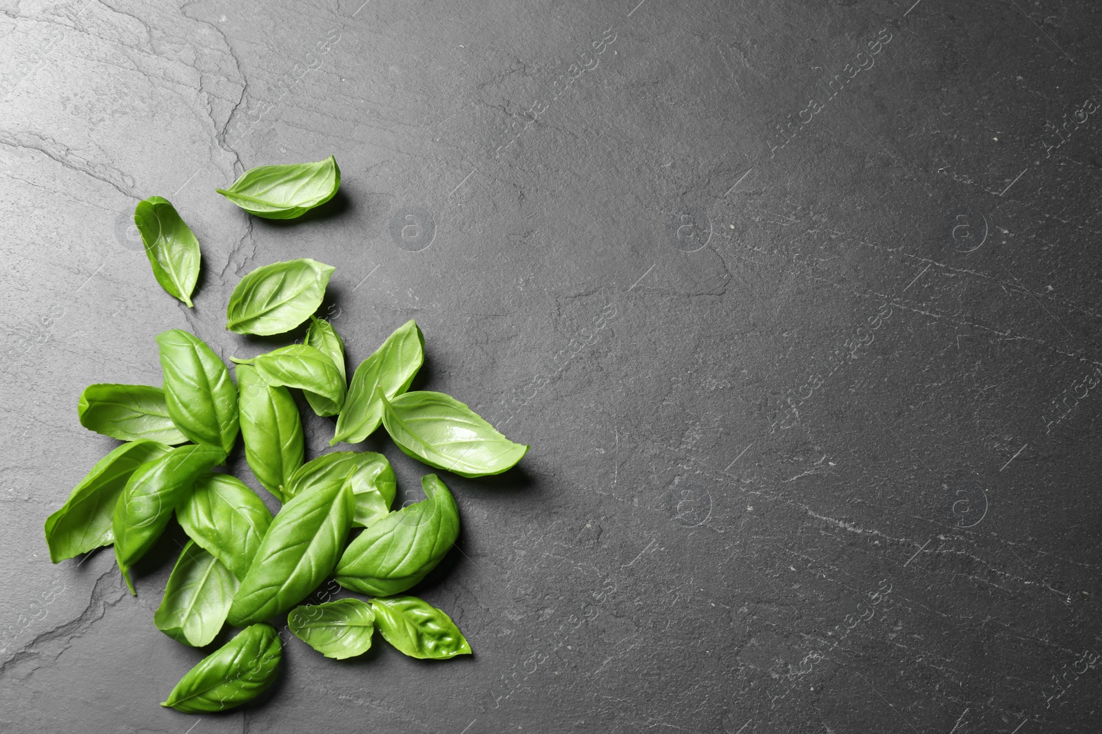 Photo of Fresh basil on grey table, flat lay. Space for text