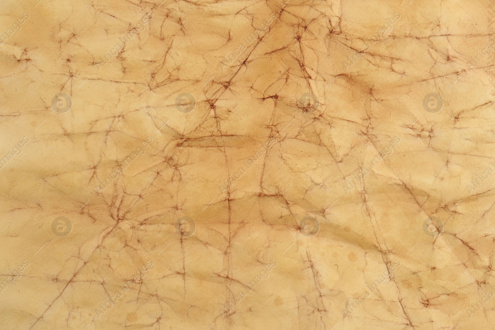 Photo of Sheet of parchment paper as background, closeup