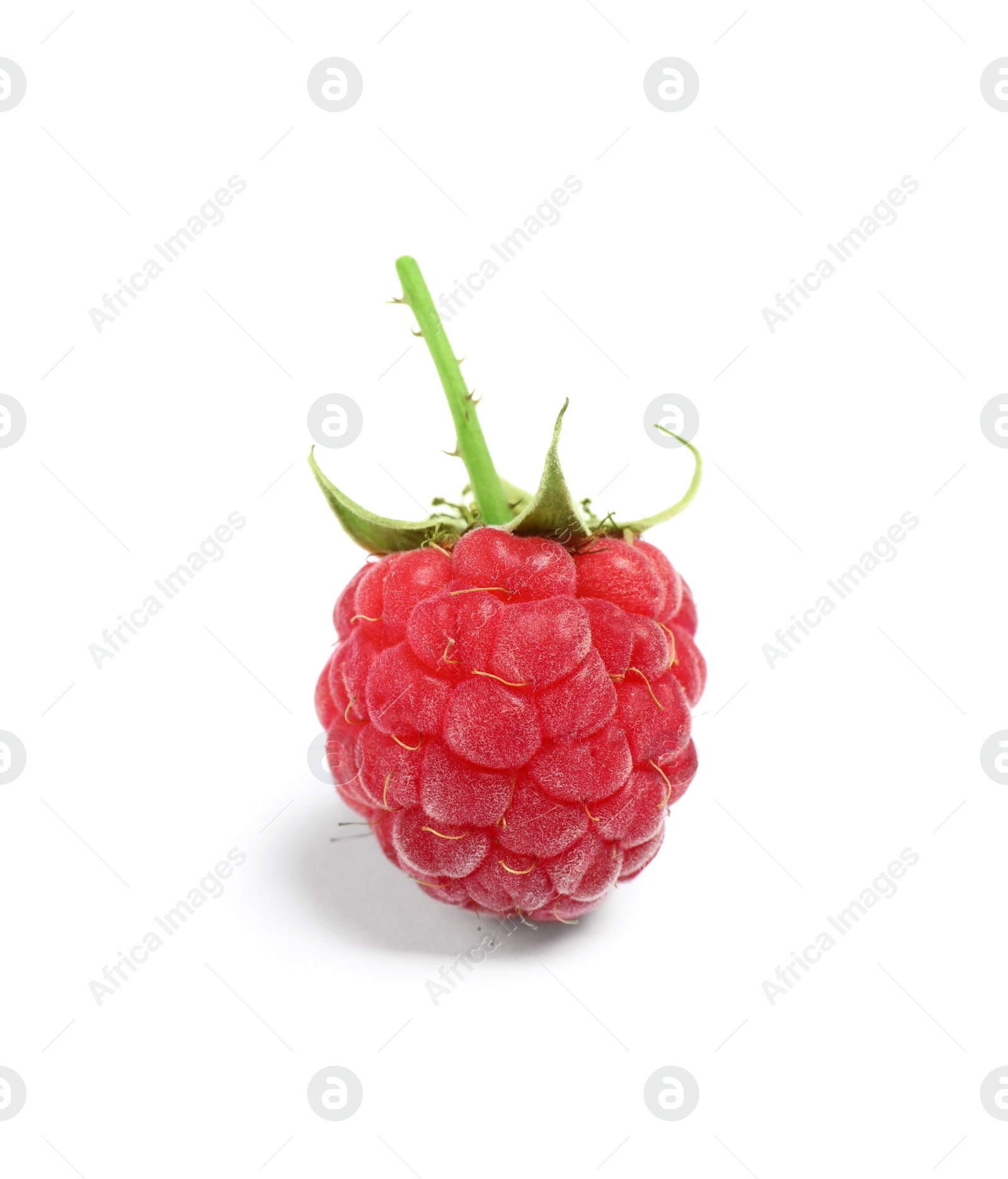 Photo of Delicious fresh ripe raspberry isolated on white