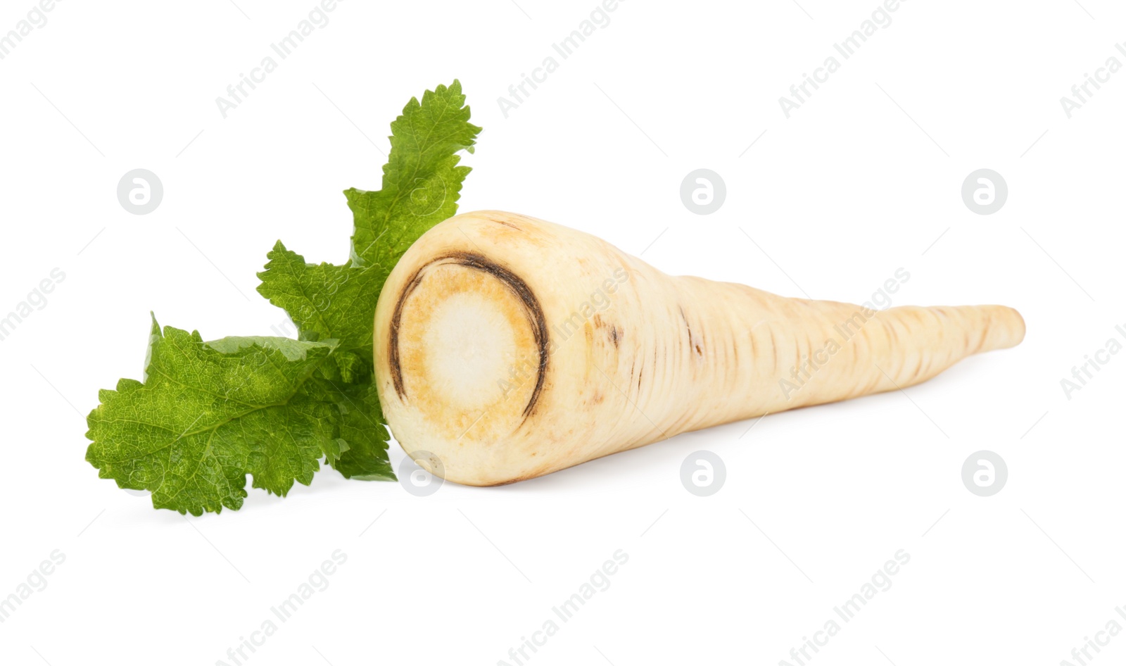 Photo of Tasty fresh ripe parsnip on white background