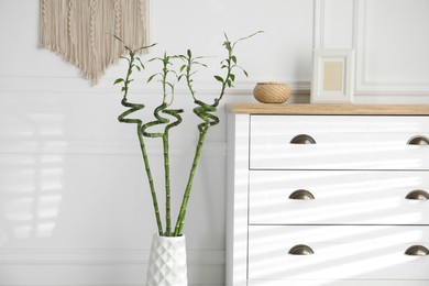 Photo of Vase with green bamboo stems near chest of drawers in room. Interior design