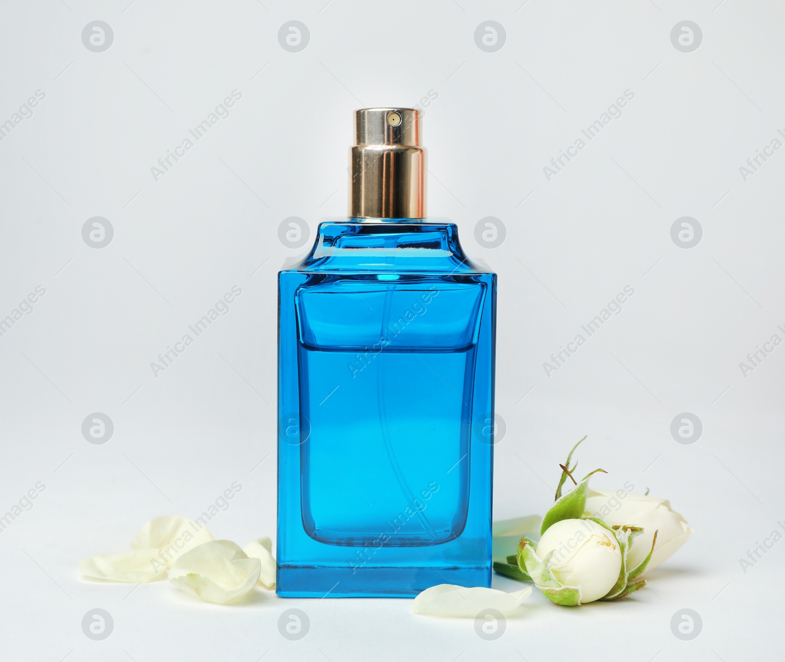 Photo of Transparent bottle of perfume with beautiful roses on white background