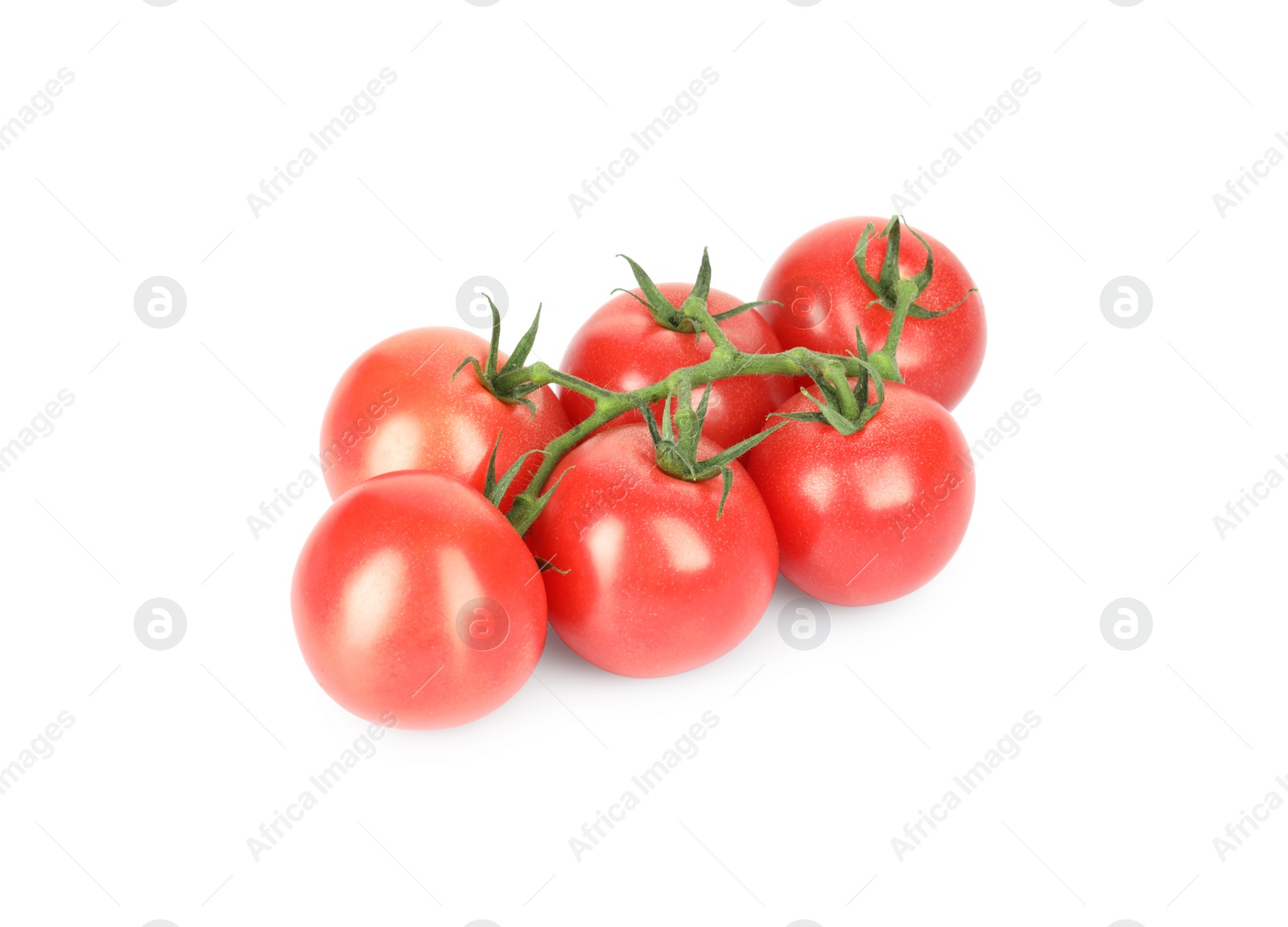 Photo of Branch of red ripe cherry tomatoes isolated on white