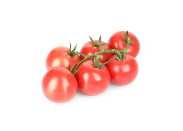 Branch of red ripe cherry tomatoes isolated on white