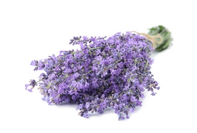 Beautiful tender lavender flowers on white background