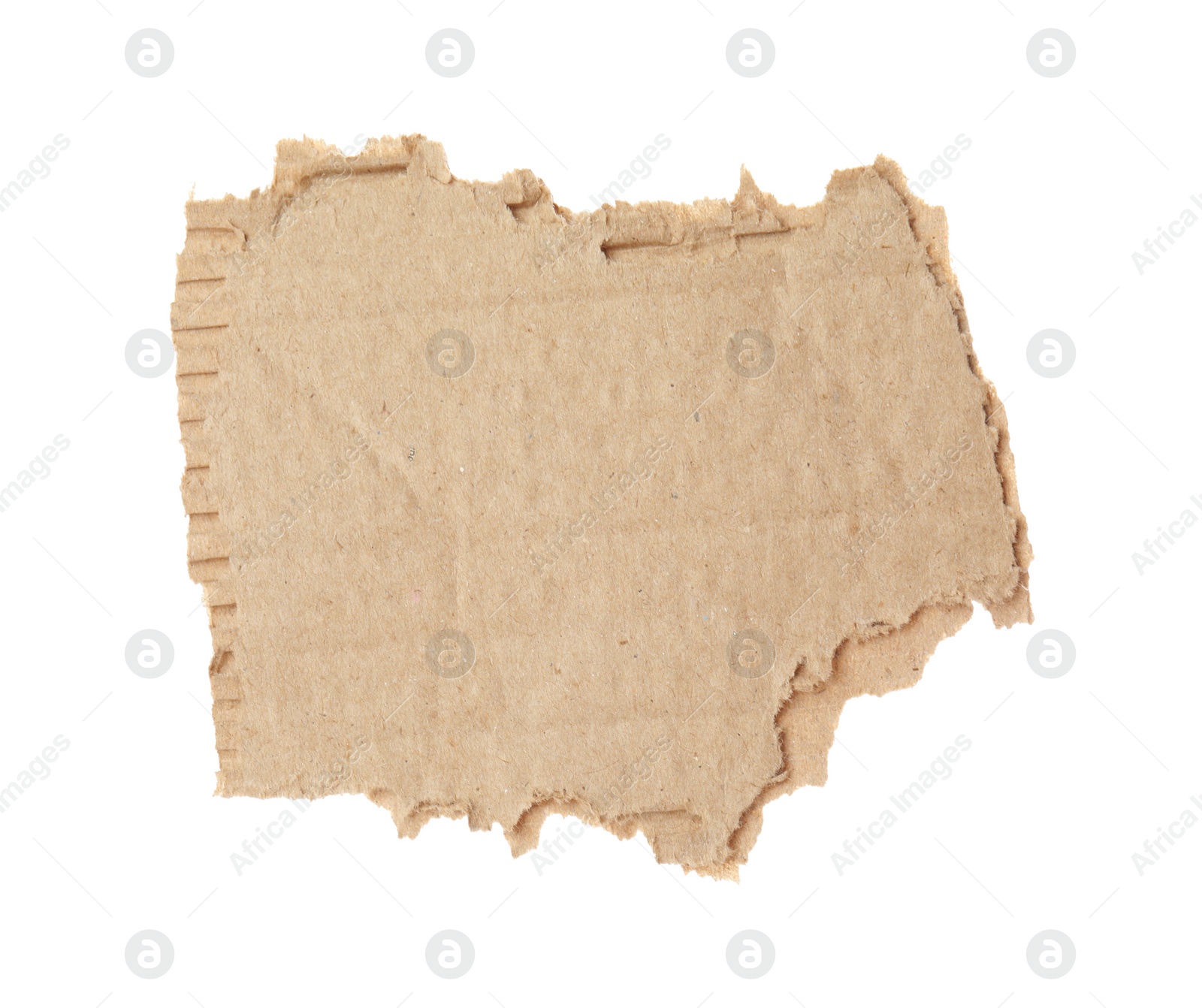 Photo of Piece of torn cardboard isolated on white