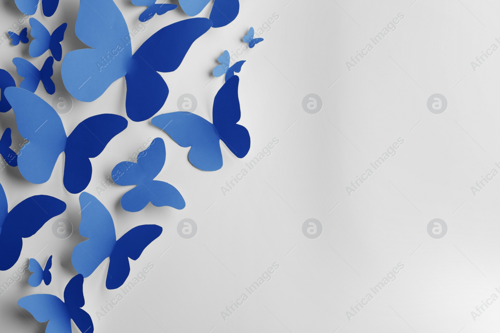 Image of Bright blue paper butterflies on white wall