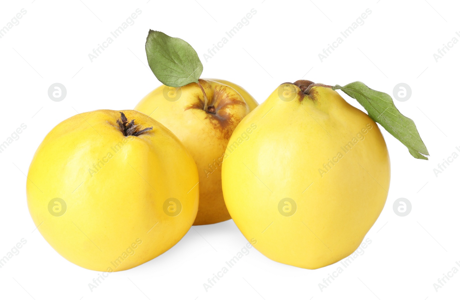 Photo of Fresh ripe quince fruits isolated on white