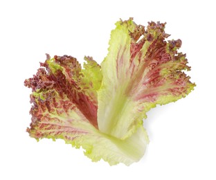 Photo of Leaves of fresh red coral lettuce isolated on white