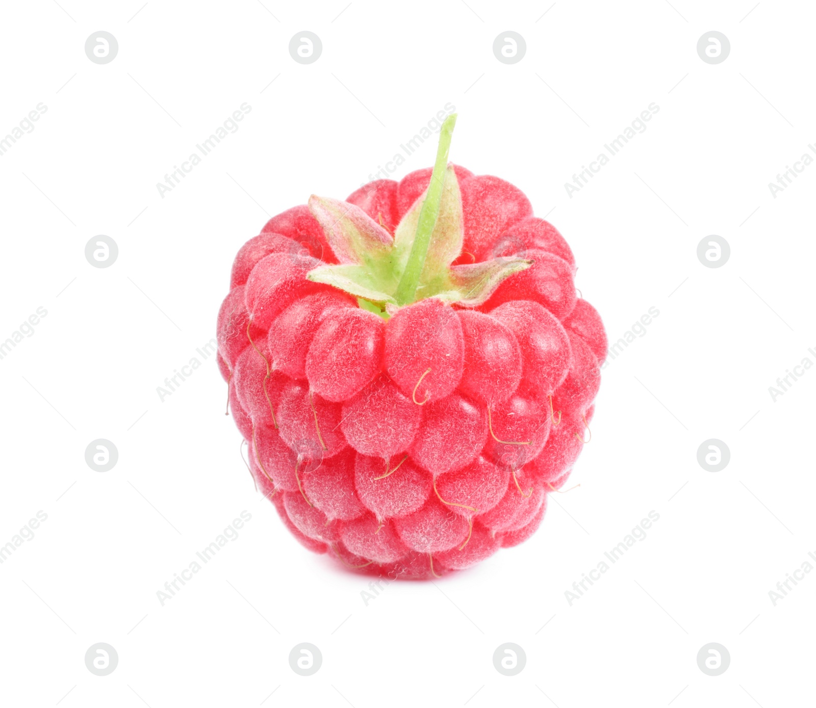 Photo of One tasty ripe raspberry isolated on white