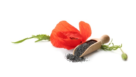 Photo of Composition with poppy seeds and flower on white background
