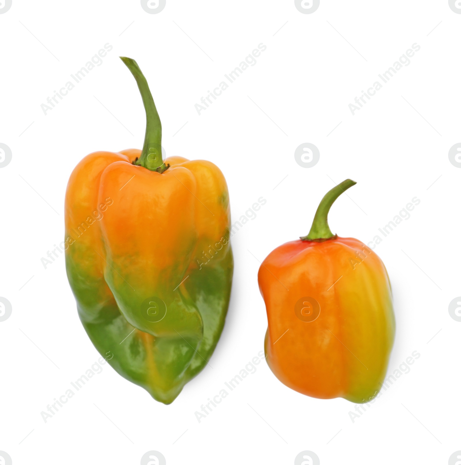 Photo of Fresh raw hot chili peppers isolated on white, top view