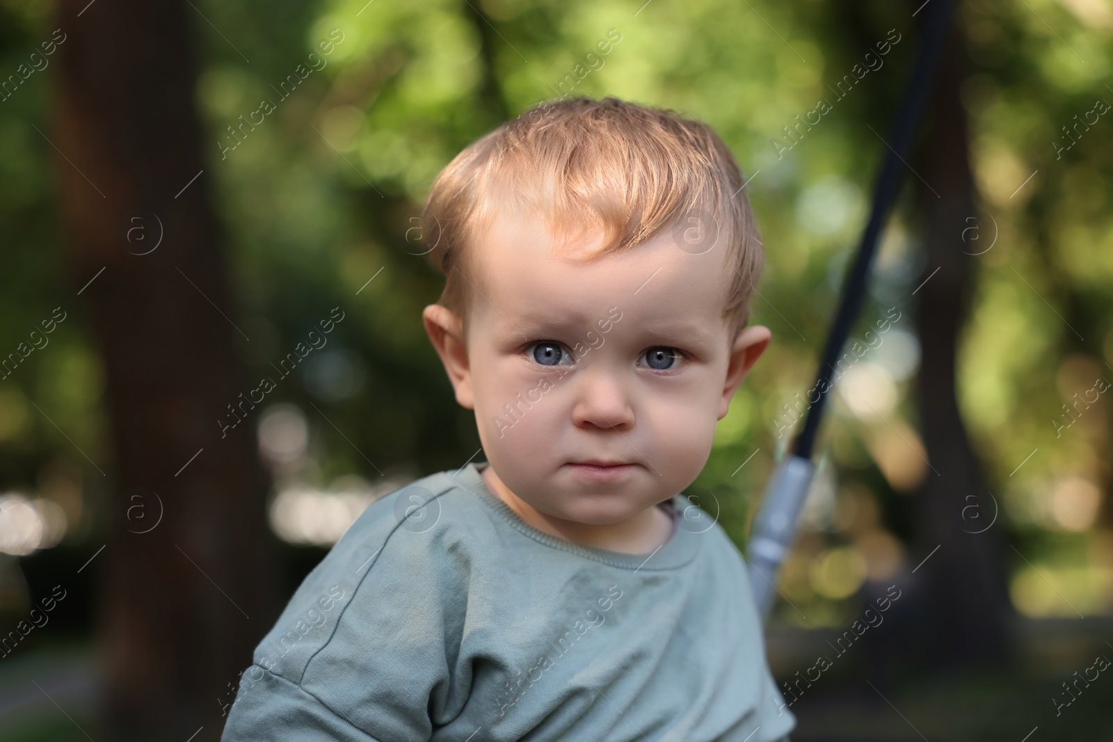 Photo of Portrait of cute little boy in park