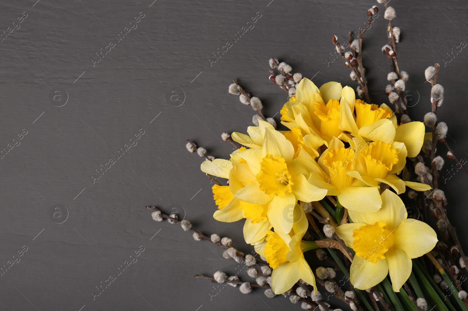 Photo of Bouquet of beautiful yellow daffodils and willow twigs on grey wooden table, top view. Space for text