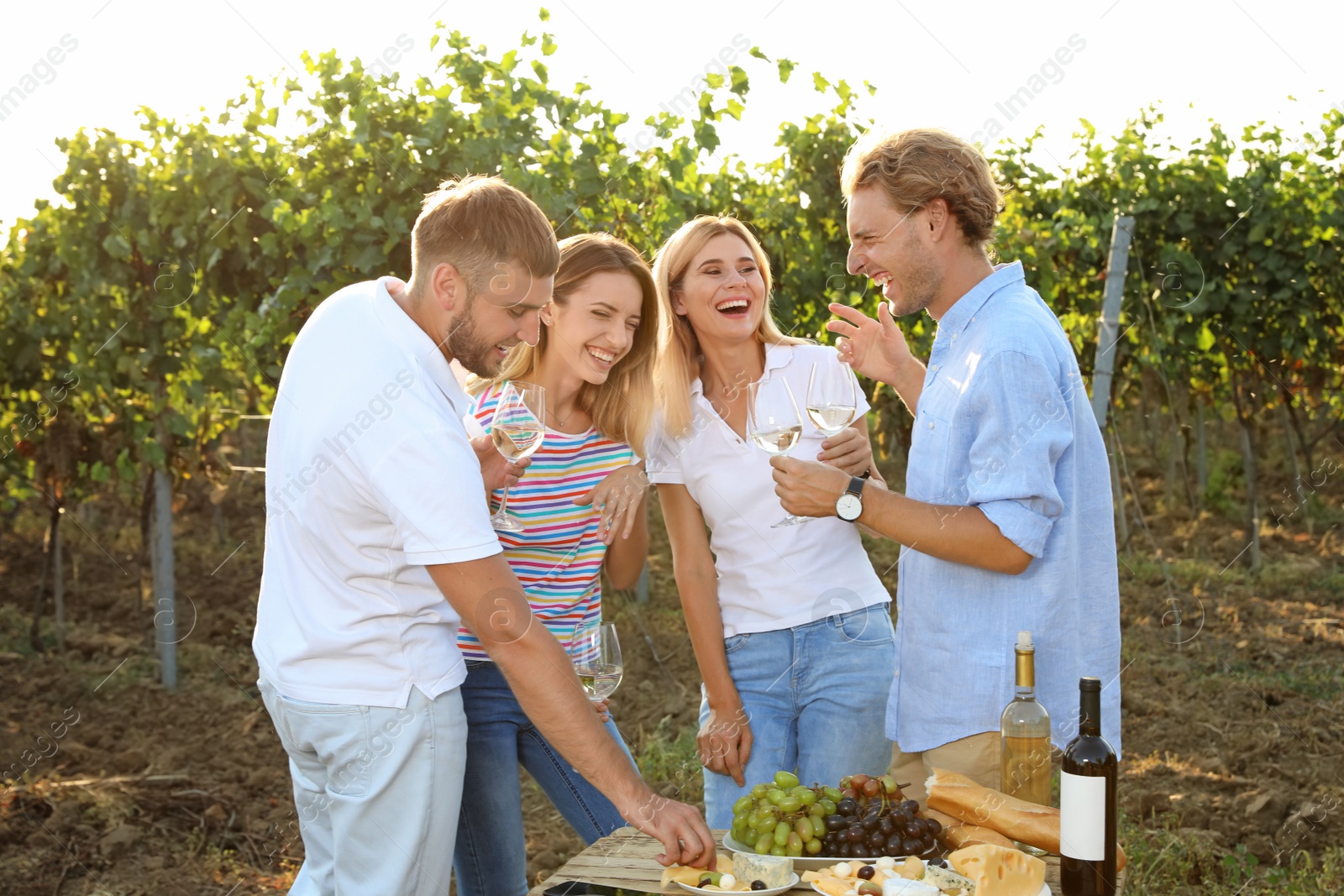 Photo of Friends holding glasses of wine and having fun on vineyard picnic