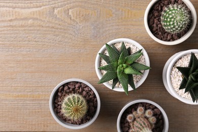 Many different succulent plants in pots on wooden table, flat lay. Space for text