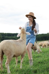 Smiling woman feeding sheep on pasture at farm