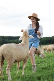 Photo of Smiling woman feeding sheep on pasture at farm