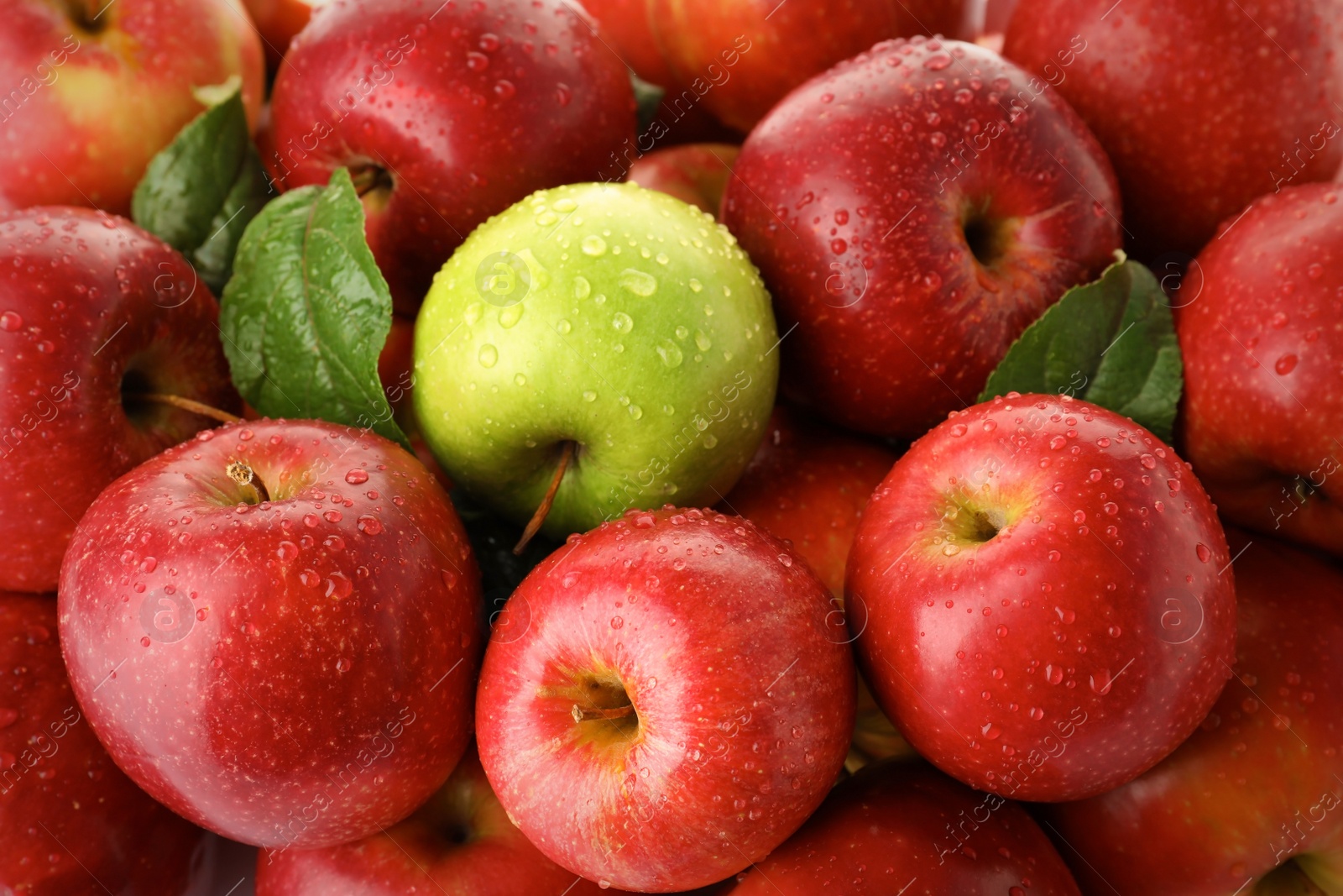 Photo of Green apple among red ones as background. Be different