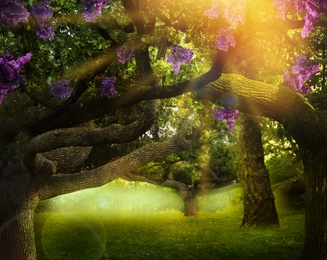 Image of Fantasy world. Trees with blossoming magic flowers in enchanted forest on sunny day