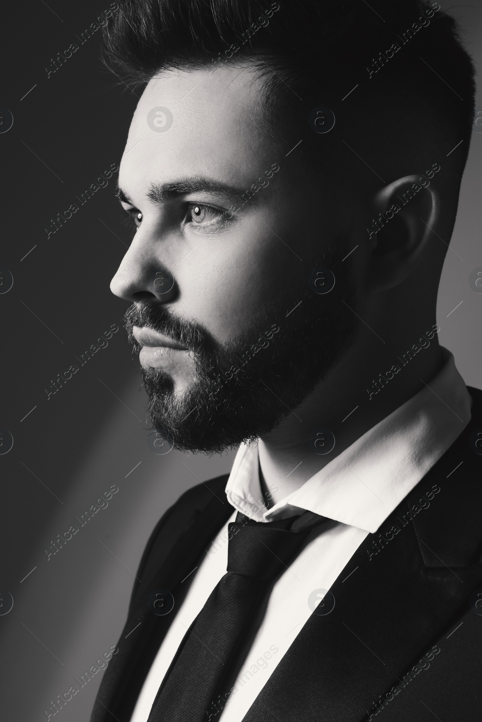 Image of Handsome bearded man in stylish suit on grey background. Black and white effect