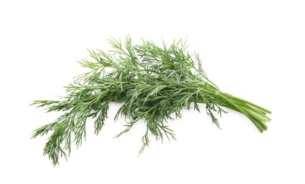 Photo of Fresh green dill branches isolated on white, top view