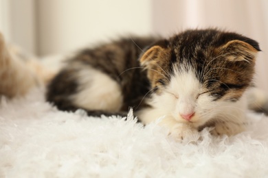 Photo of Adorable little kitten sleeping on white pillow indoors, closeup