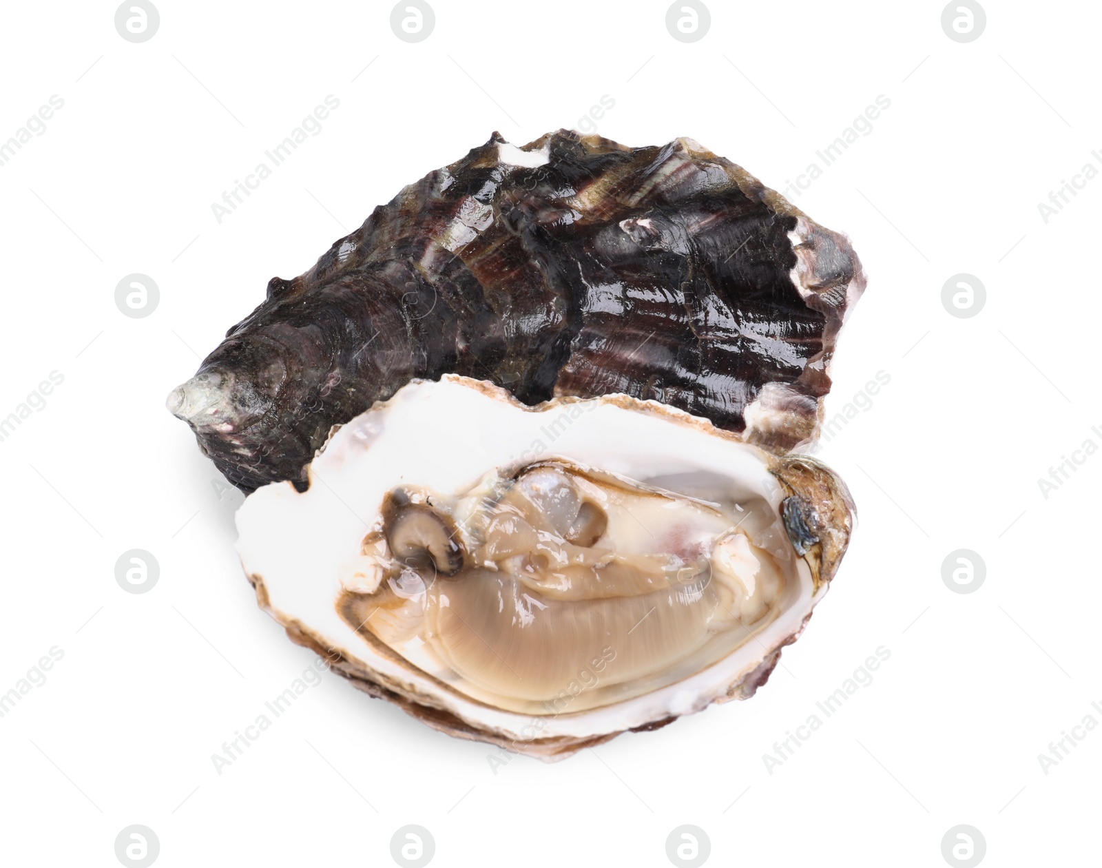 Photo of Fresh raw closed and open oysters on white background