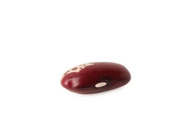 Photo of Raw red bean on white background. Vegetable planting