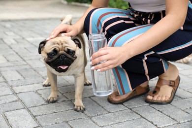 Photo of Owner helping her pug dog on street in hot day, closeup. Heat stroke prevention