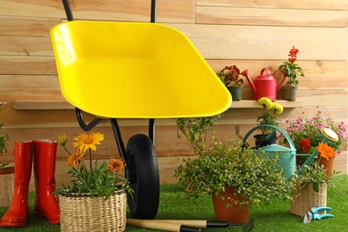 Photo of Wheelbarrow with gardening tools and flowers near wooden wall
