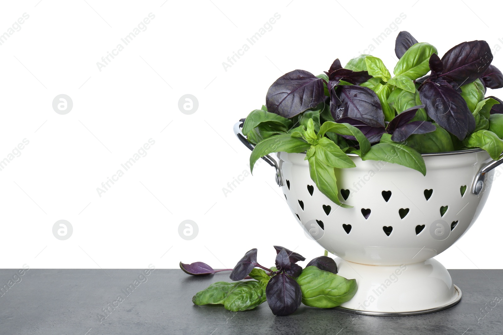 Photo of Colander with fresh basil leaves on grey table against white background. Space for text