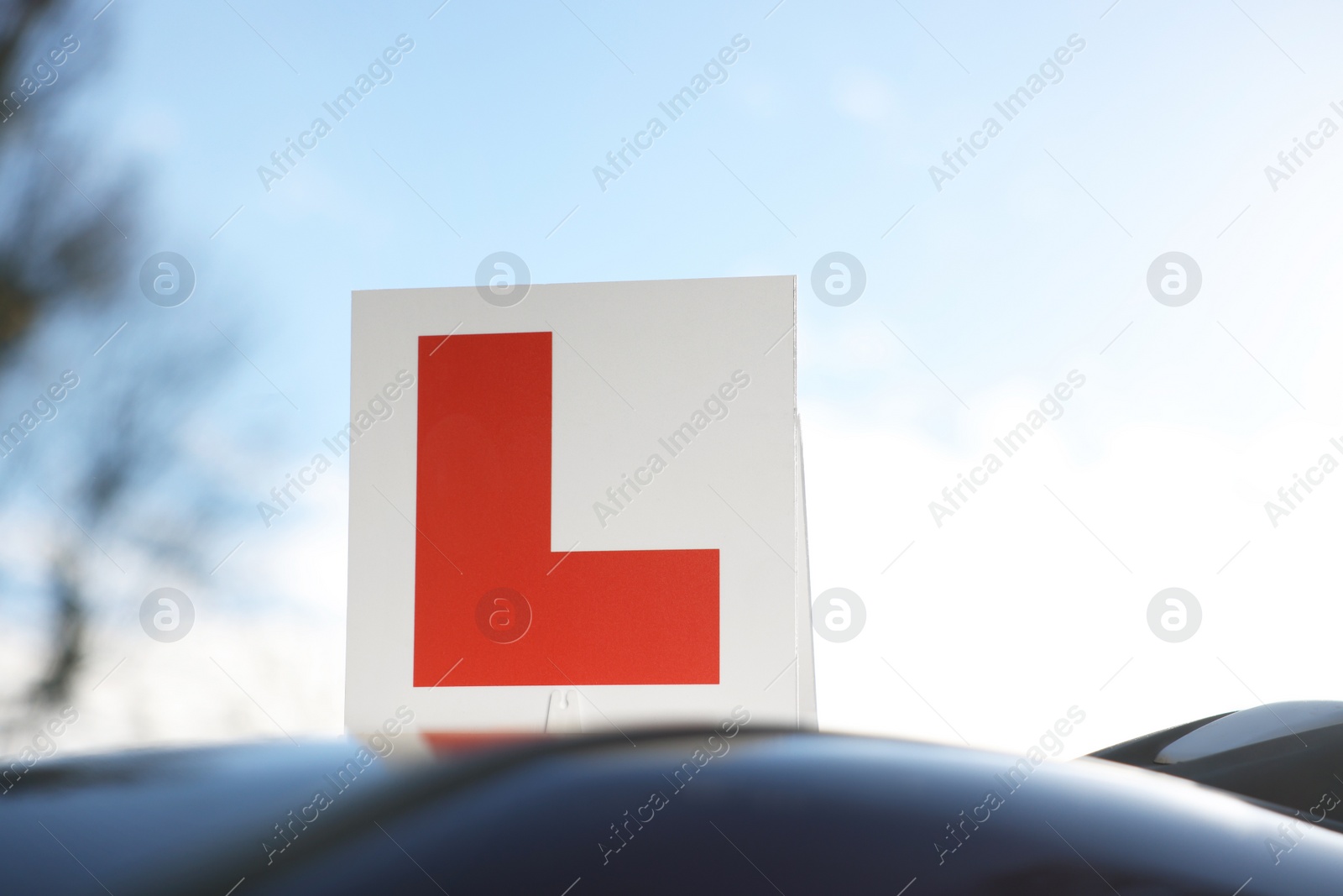 Photo of L-plate on car roof outdoors. Driving school