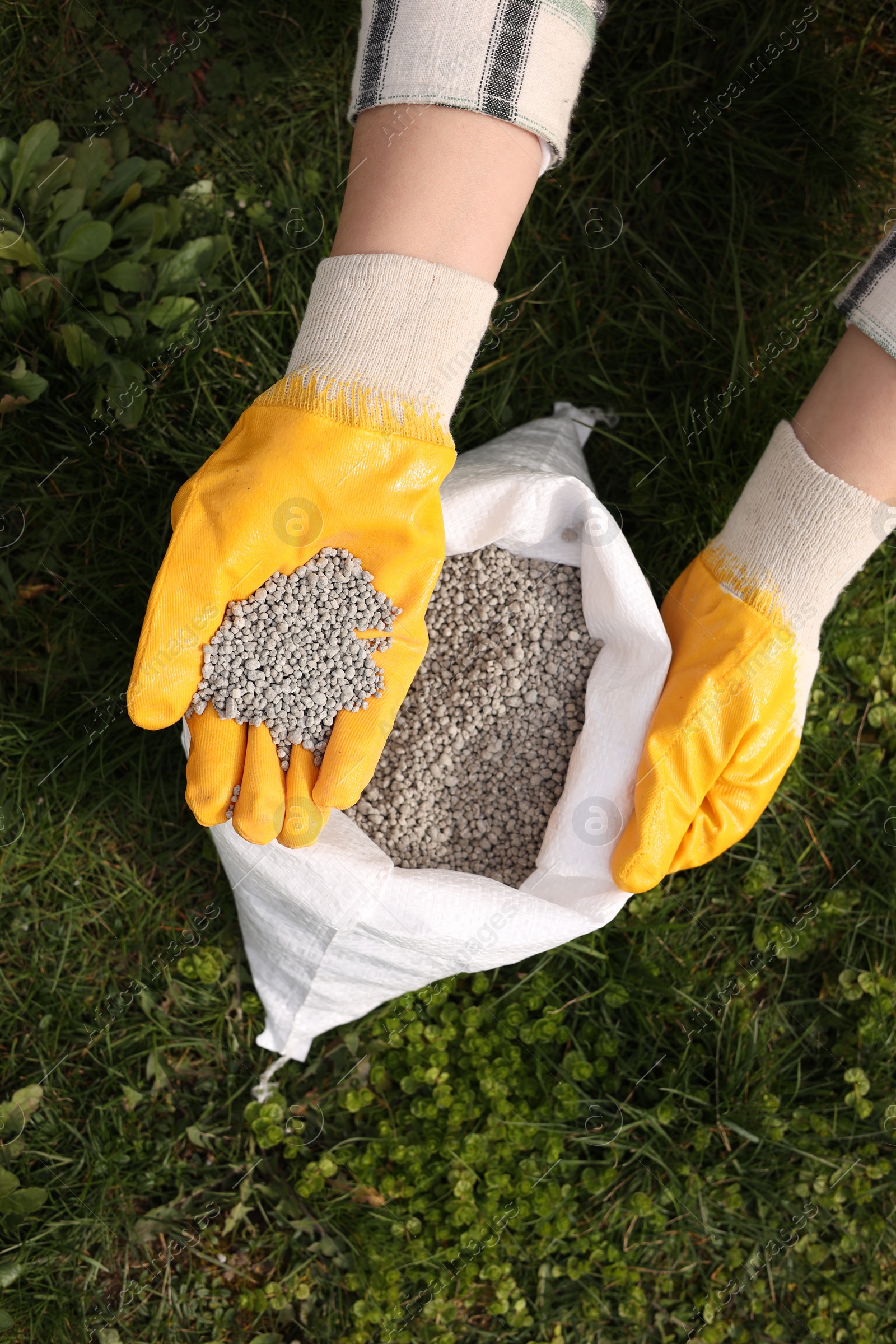 Photo of Woman with fertilizer on green grass outdoors, top view