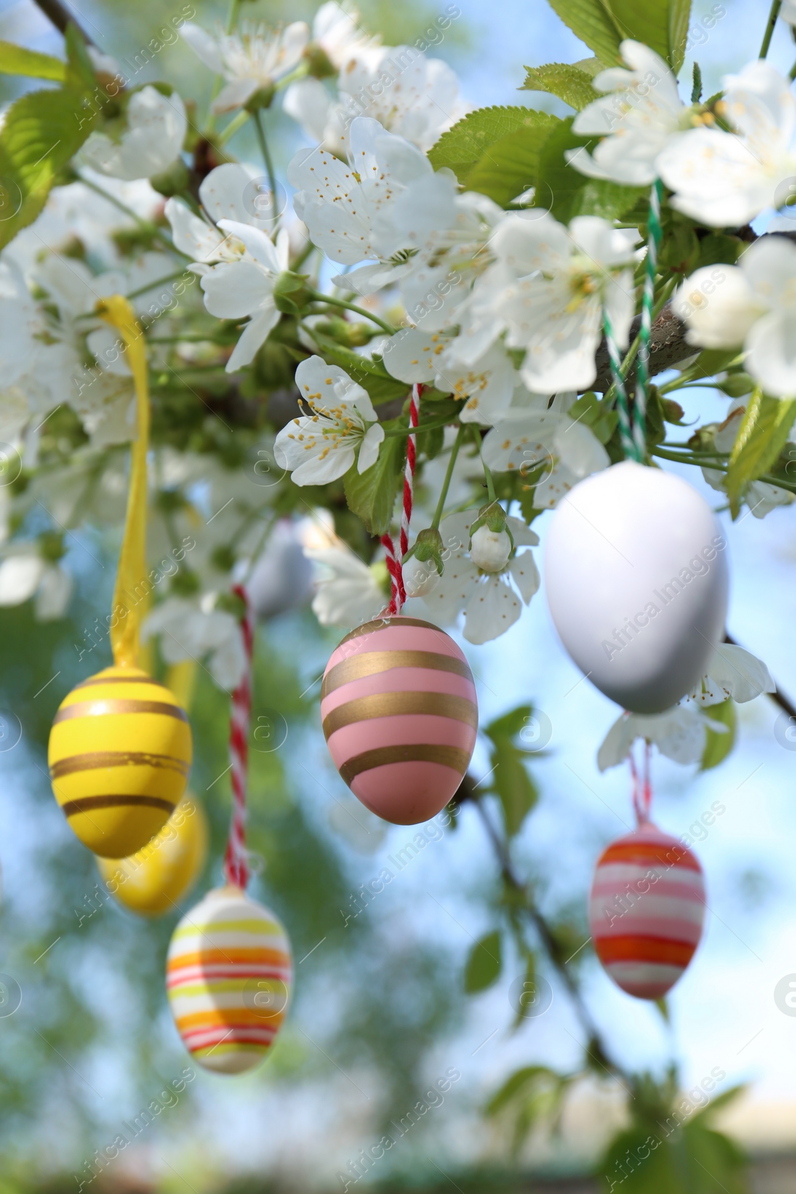 Photo of Beautifully painted Easter eggs hanging on blooming tree outdoors, closeup