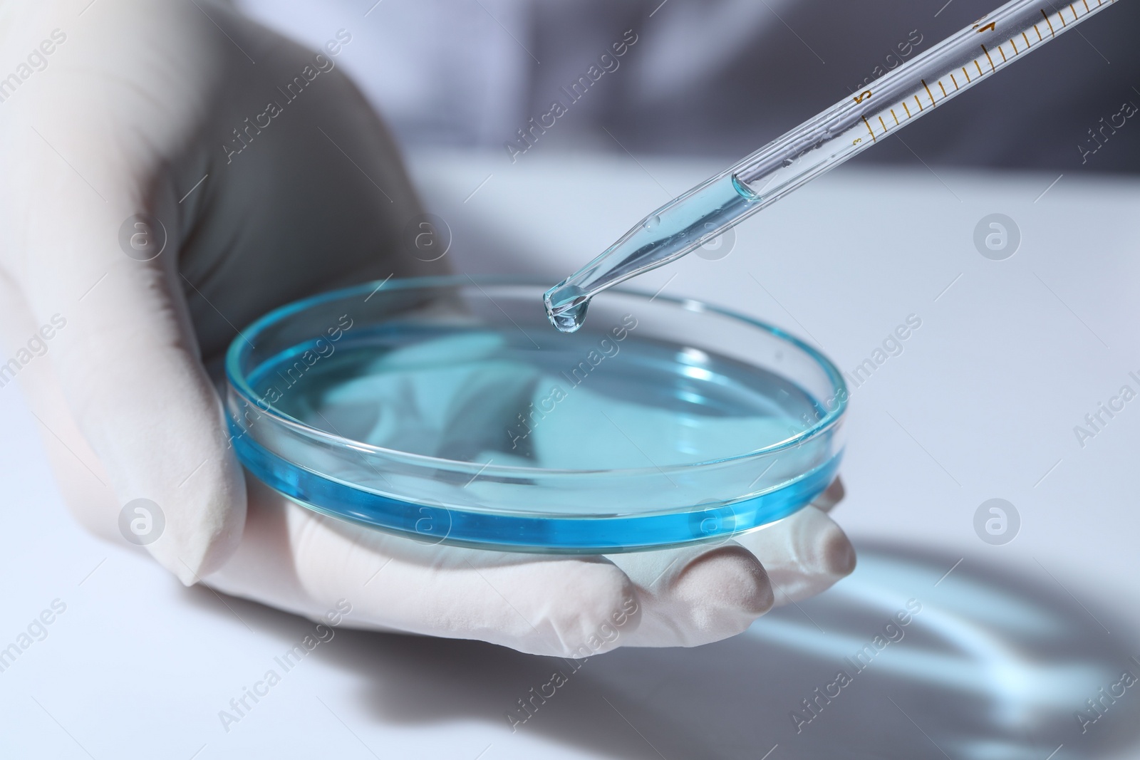 Photo of Scientist dripping liquid from pipette into petri dish at white table, closeup