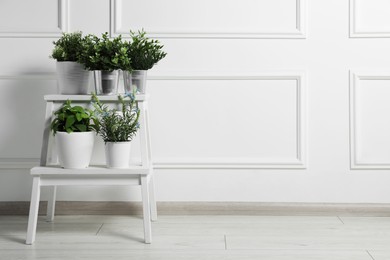 Different artificial potted herbs on stand near white wall, space for text