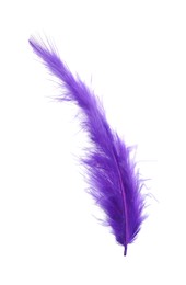 Photo of Fluffy beautiful purple feather isolated on white