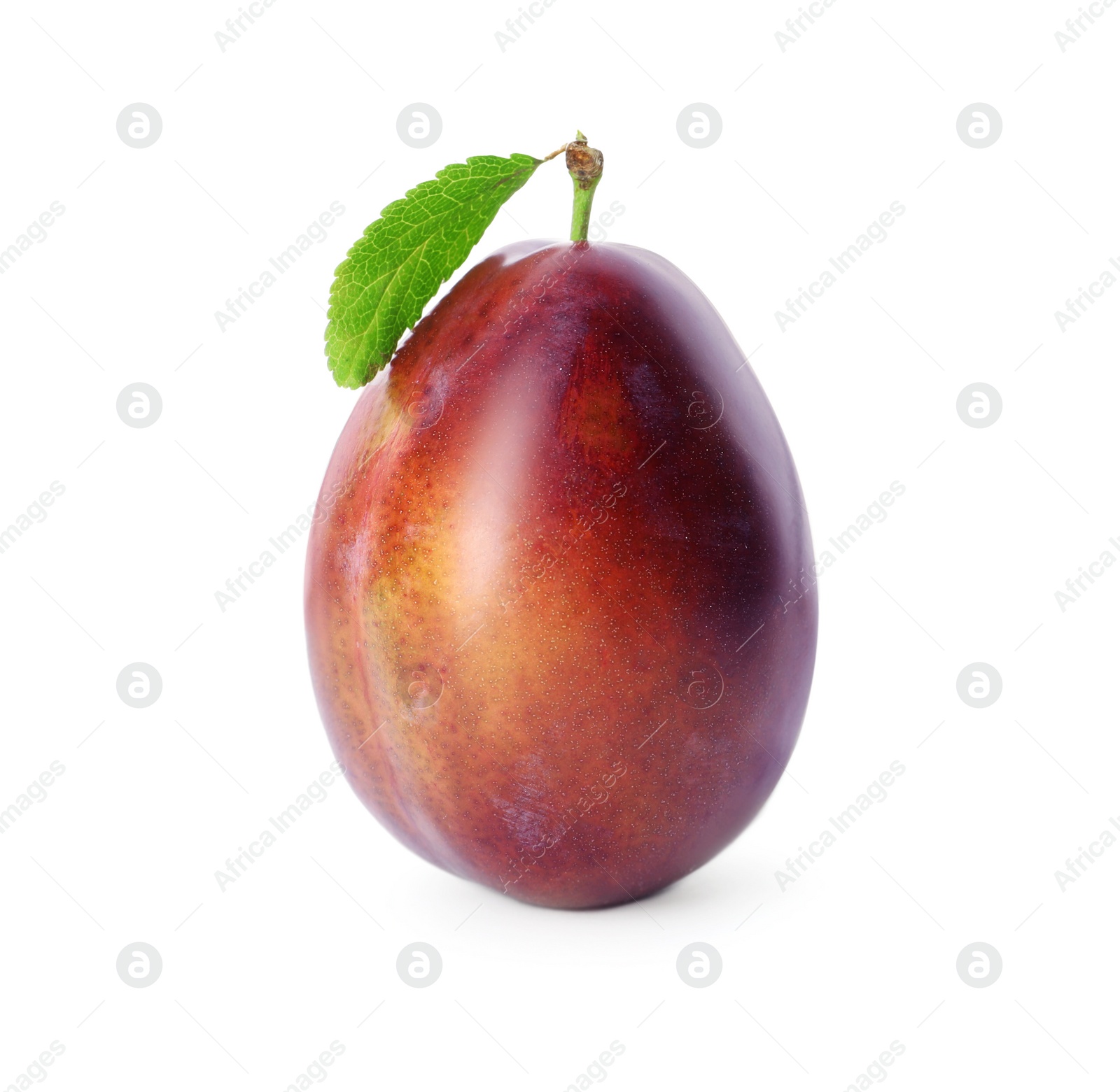 Photo of Delicious fresh ripe plum isolated on white