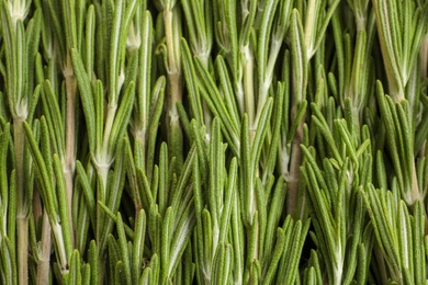 Photo of Fresh rosemary twigs as background