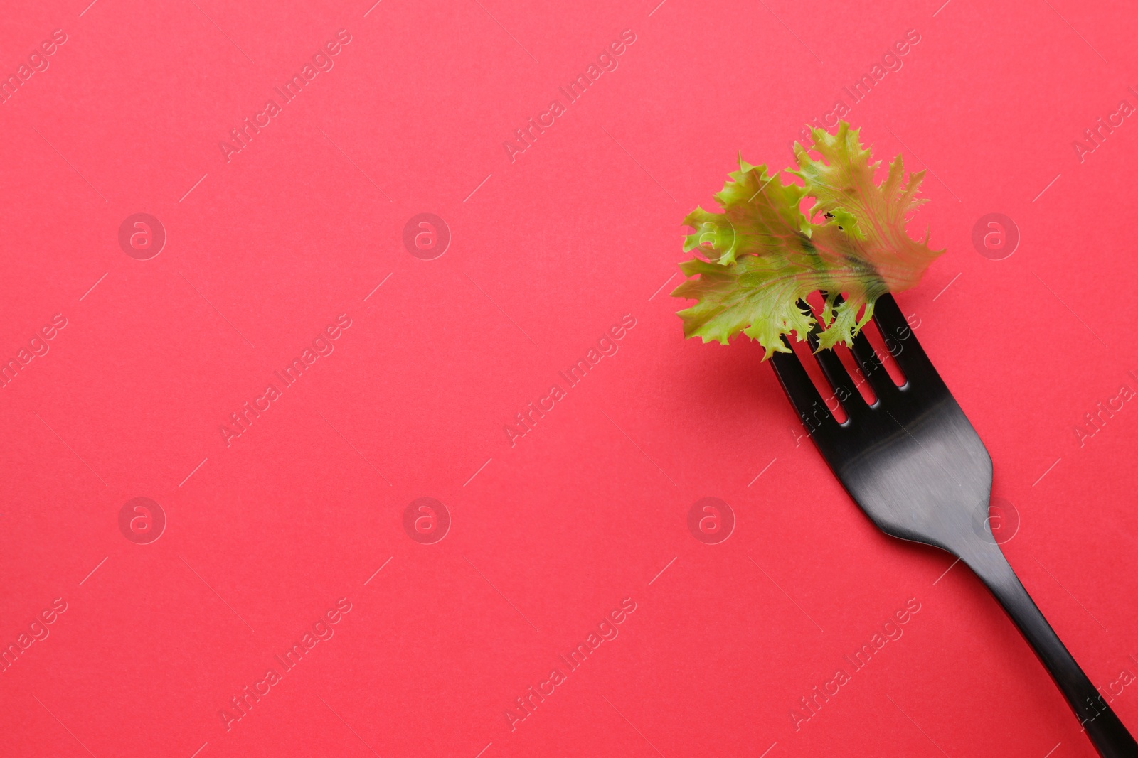 Photo of Fork with lettuce leaf on red background, top view and space for text. Diet concept