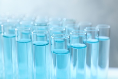 Photo of Many test tubes with light blue liquid, closeup