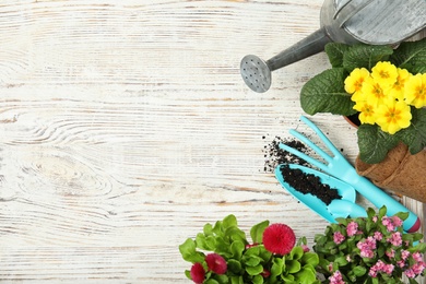 Flat lay composition with gardening equipment and flowers on wooden background, space for text